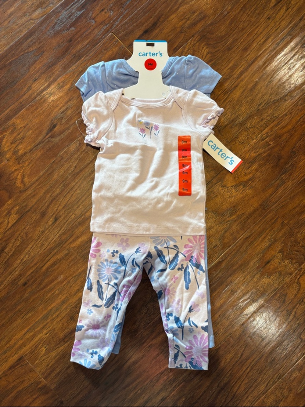Carter's Light Pink and Blue Floral Set